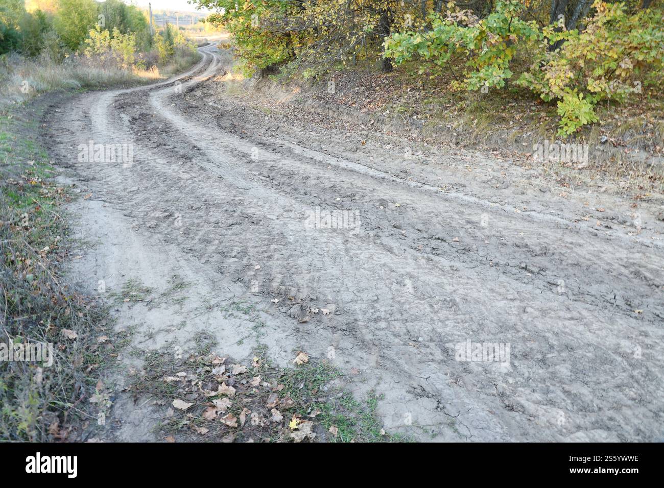 Herbstliche Landschaft mit einer gekrümmten Straße, auf der Spuren der Lauffläche großer Räder von Landmaschinen zu sehen sind. Herbstlandschaft mit einem Stockfoto