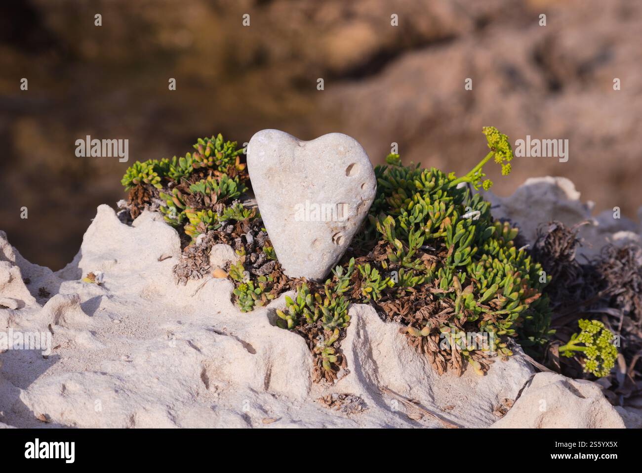 Herzförmiger Kieselstein, auf der Klippe. Sardinien, Italien. Abstraktes Konzept: Liebe, Emotionen, Verlieben, Zuneigung, Liebe zur Natur-Meer Stockfoto