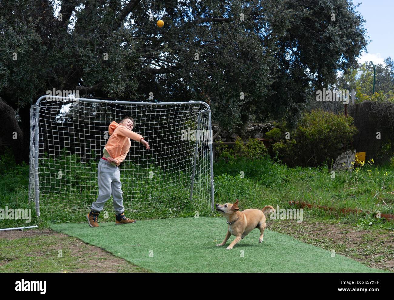 Kind, das mit Hund und Ball im Hinterhof spielt: Ball auf Kleinhund durch Fußballtor werfen Stockfoto