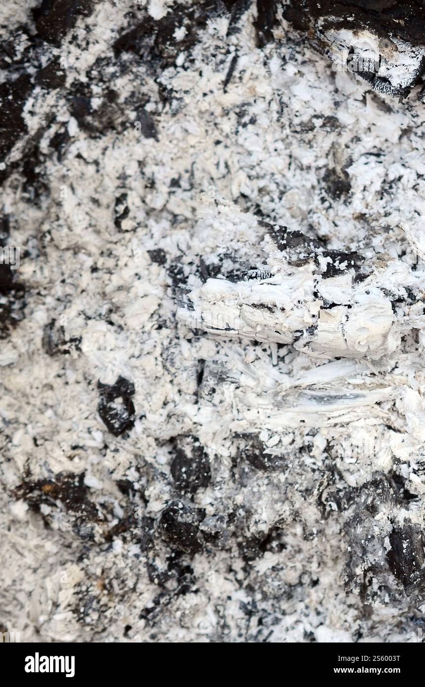 Aschenhaufen, nachdem das Feuer erloschen ist, Grunge-Hintergrund-Textur. Verbrannte Asche nahe draußen bei Tageslicht. Aschenhaufen nach dem Feuer Stockfoto