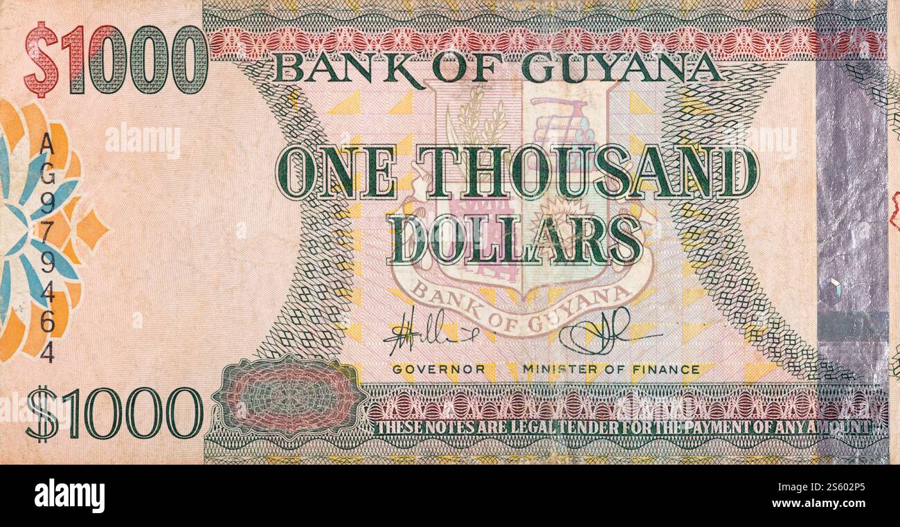 Ein Teil des braunen Guyana-1000-Dollar-Banknotenfragments aus nächster Nähe. Teil des braunen Guyana-1000-Dollar-Banknotenfragments Stockfoto