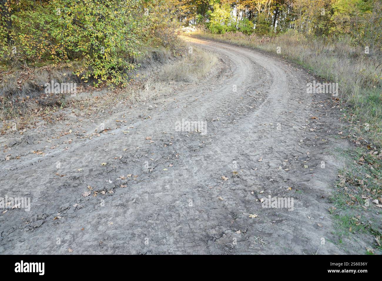 Herbstliche Landschaft mit einer gekrümmten Straße, auf der Spuren der Lauffläche großer Räder von Landmaschinen zu sehen sind. Herbstlandschaft mit einem Stockfoto