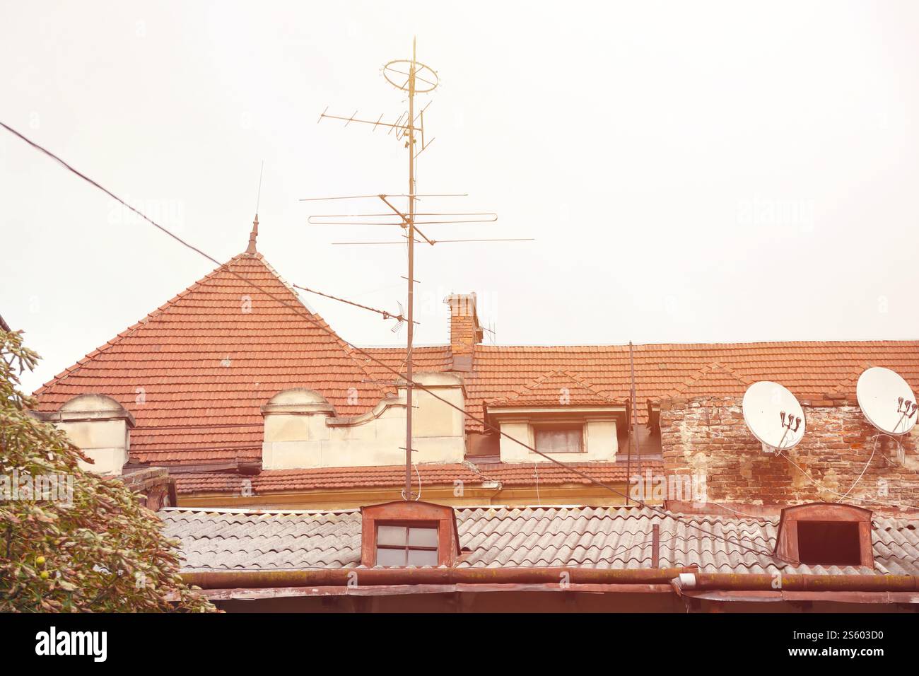 Blick auf die Dächer der historischen Altstadt von Lemberg in der Ukraine. Kirchtürme und viele rostige Schindeldächer im Hintergrund. Blick auf die Dächer von Stockfoto