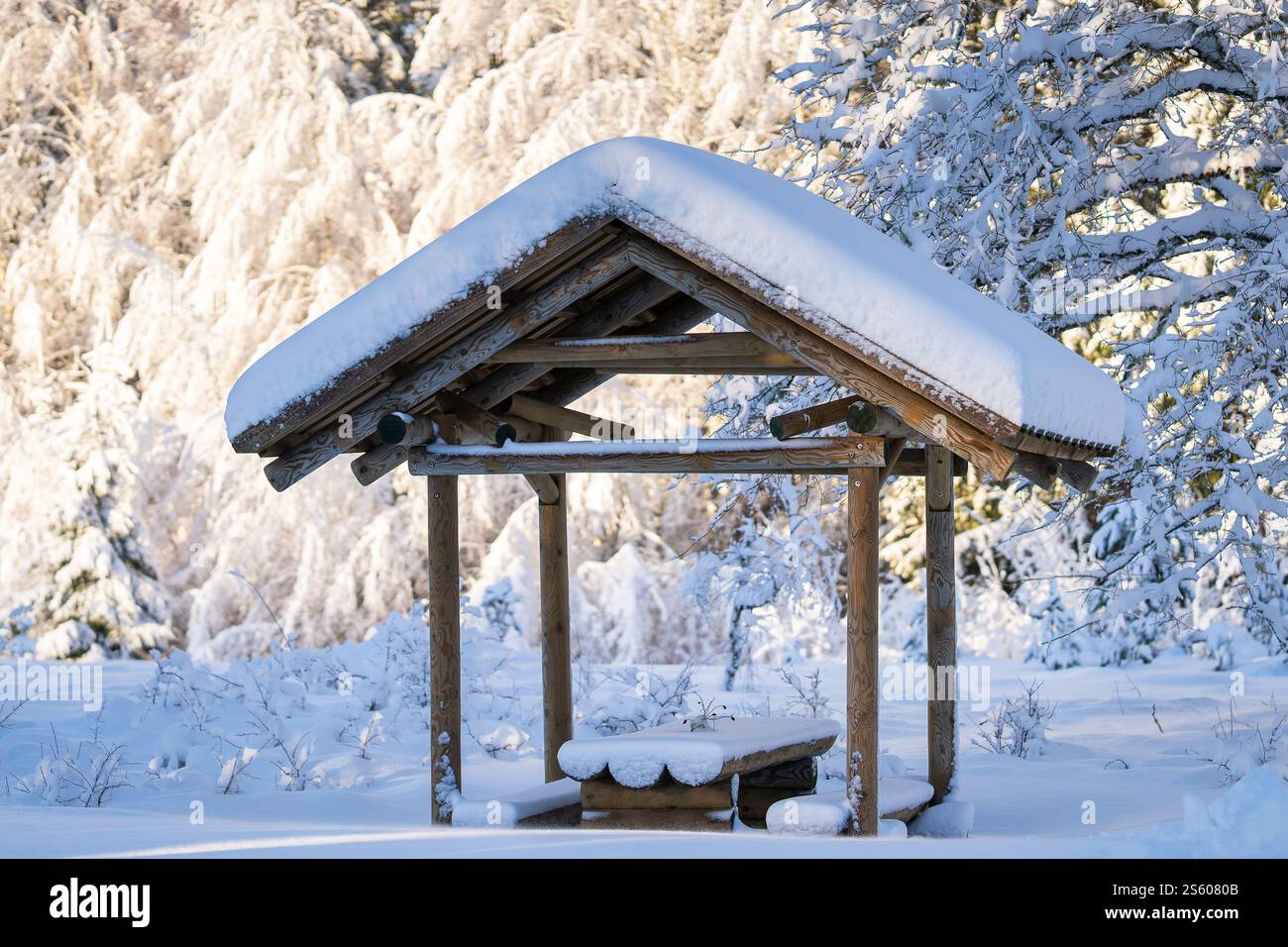 Rastplatz im Winterwald für Touristen und Reisende. Holzunterstand mit Bank, Tisch und schneebedecktem Dach. Kleine Hütte im Wald. Stockfoto