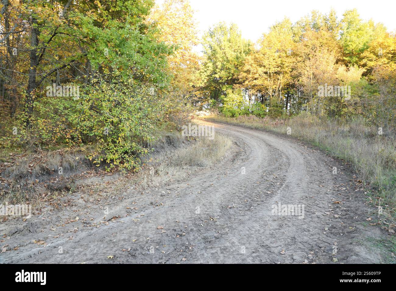 Herbstliche Landschaft mit einer gekrümmten Straße, auf der Spuren der Lauffläche großer Räder von Landmaschinen zu sehen sind. Herbstlandschaft mit einem Stockfoto