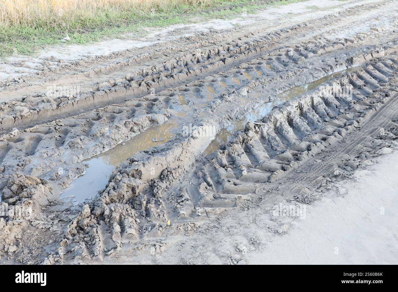 Herbstliche Landschaft mit einer gekrümmten Straße, auf der Spuren der Lauffläche großer Räder von Landmaschinen zu sehen sind. Herbstlandschaft mit einem Stockfoto