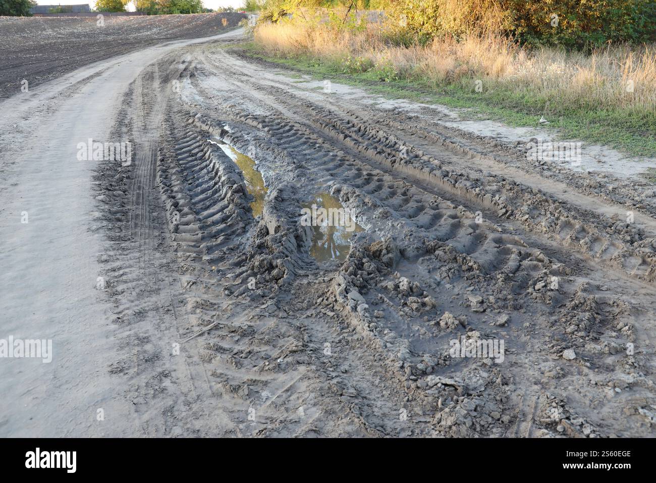 Herbstliche Landschaft mit einer gekrümmten Straße, auf der Spuren der Lauffläche großer Räder von Landmaschinen zu sehen sind. Herbstlandschaft mit einem Stockfoto