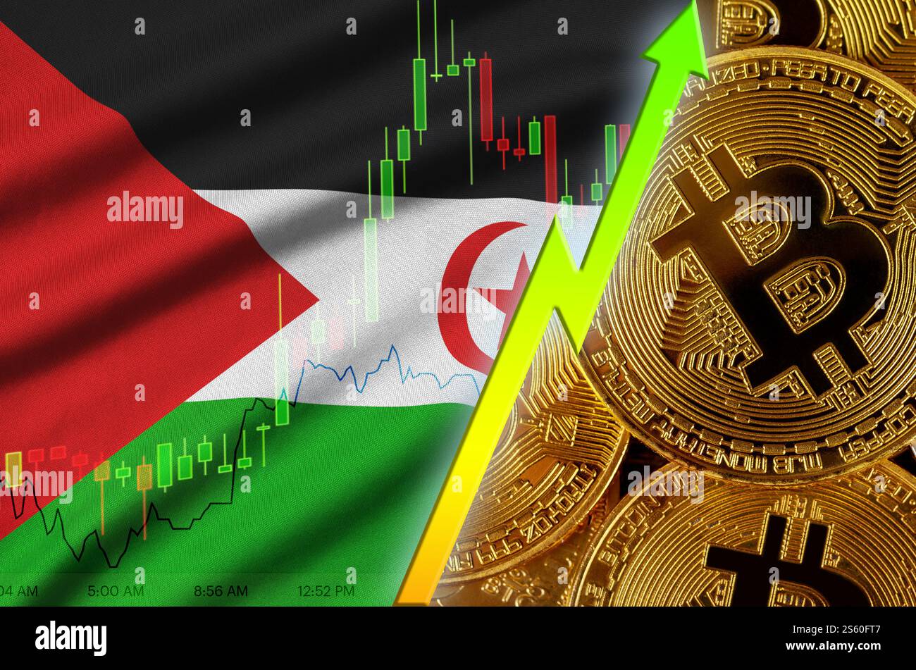 Westsahara-Flagge und Kryptowährung wachsender Trend mit vielen goldenen Bitcoins. Konzept der Erhöhung des Bitcoin-Preises oder einer hohen Konvertierung in Stockfoto