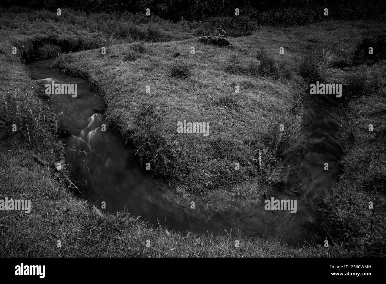 Kelso, Schottland: Mellendean Burn durchquert Farmland Stockfoto