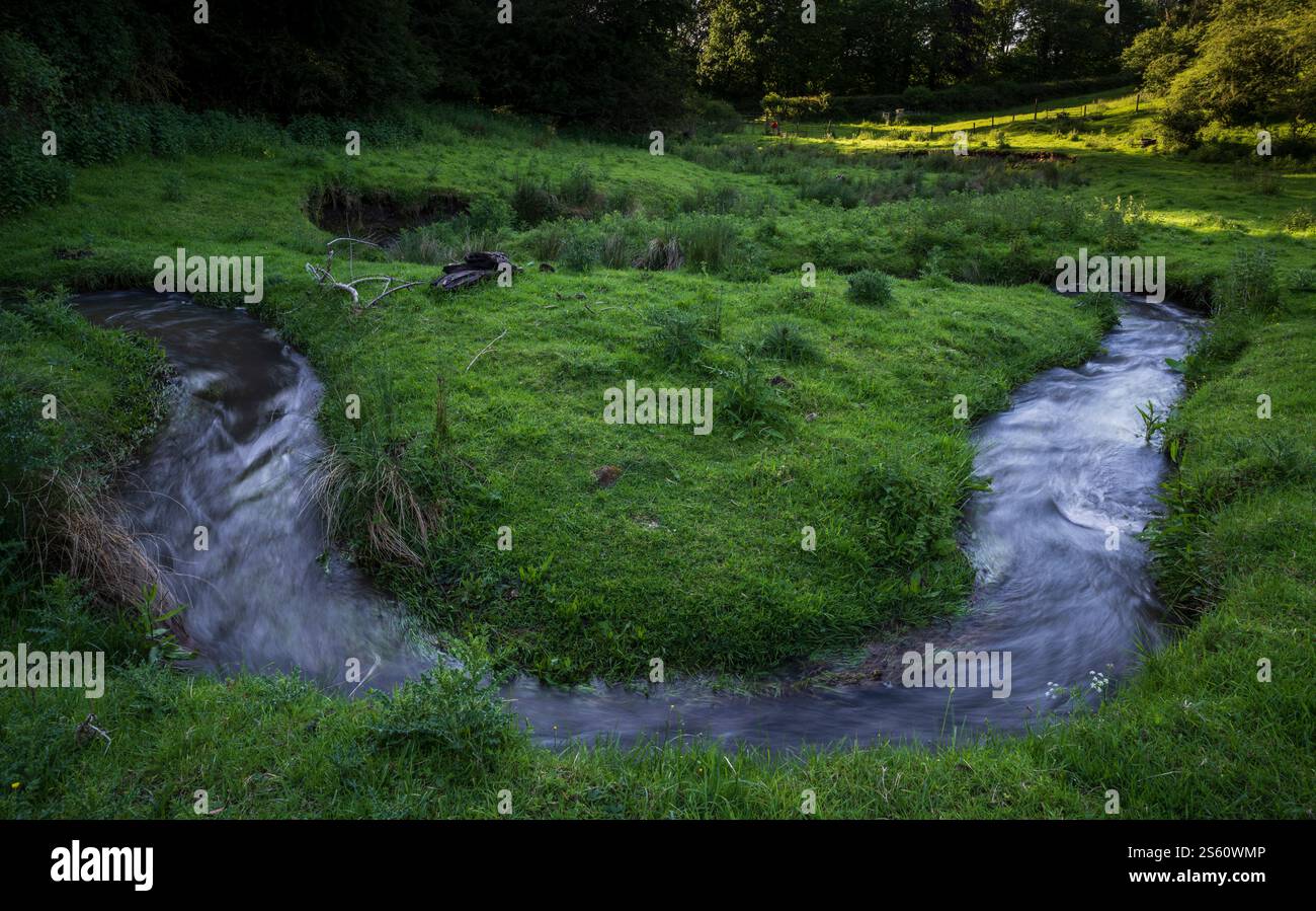 Kelso, Schottland: Mellendean Burn durchquert Farmland Stockfoto
