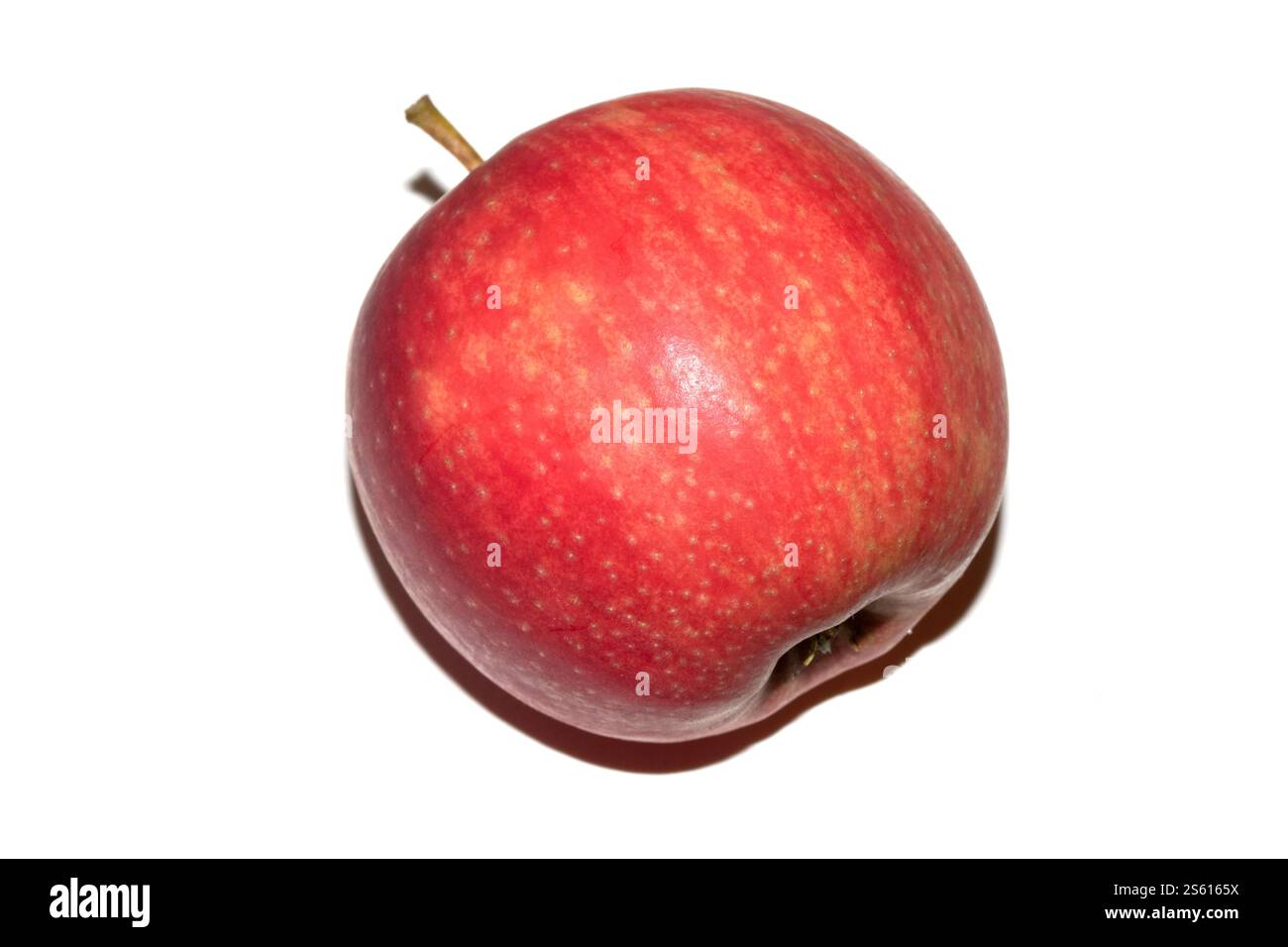 Eine rosafarbene Dame, roter Apfel auf weißem Hintergrund Stockfoto