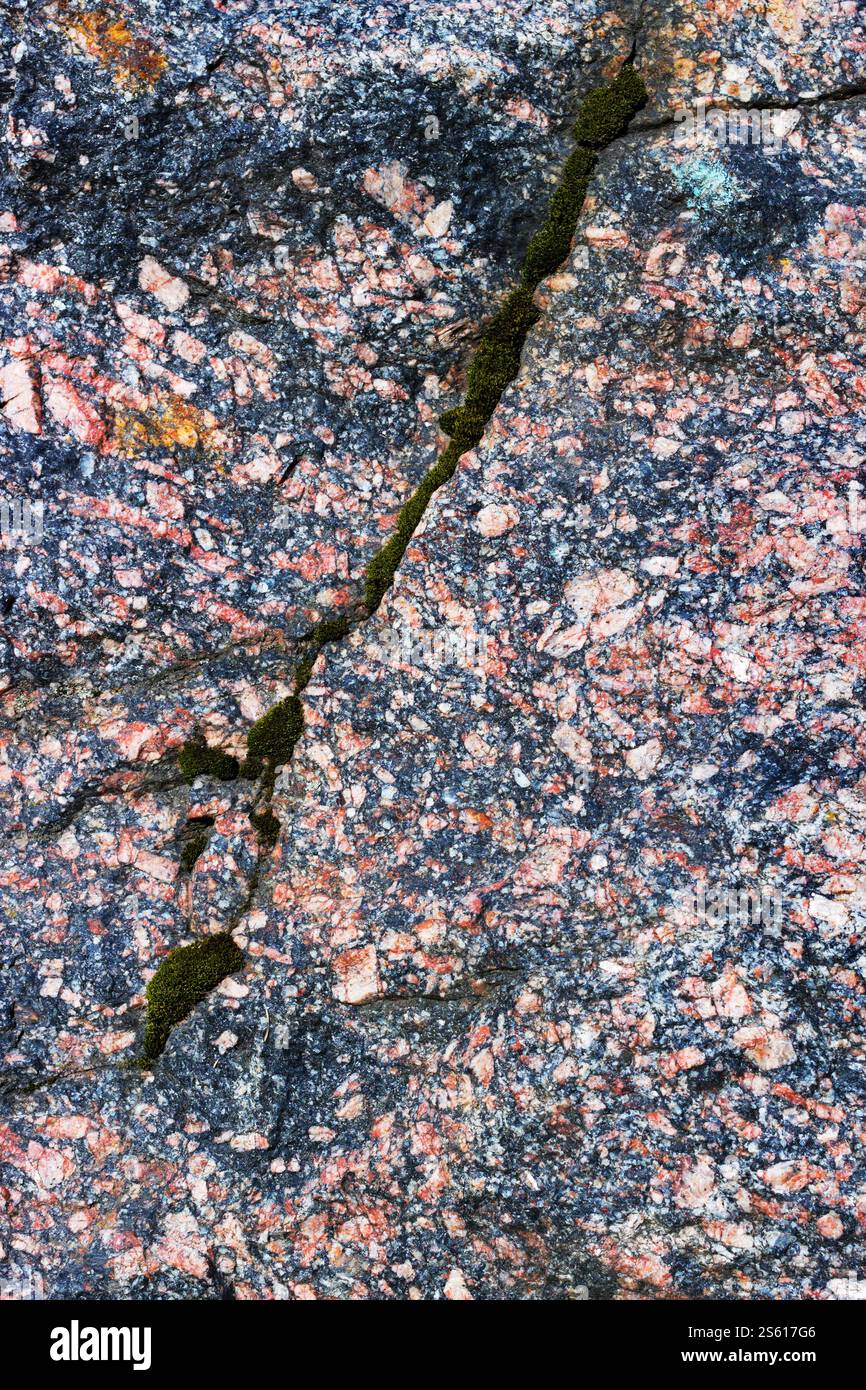 Struktur Natutalstein rosa Granit mit einem gespaltenen Moos Stockfoto