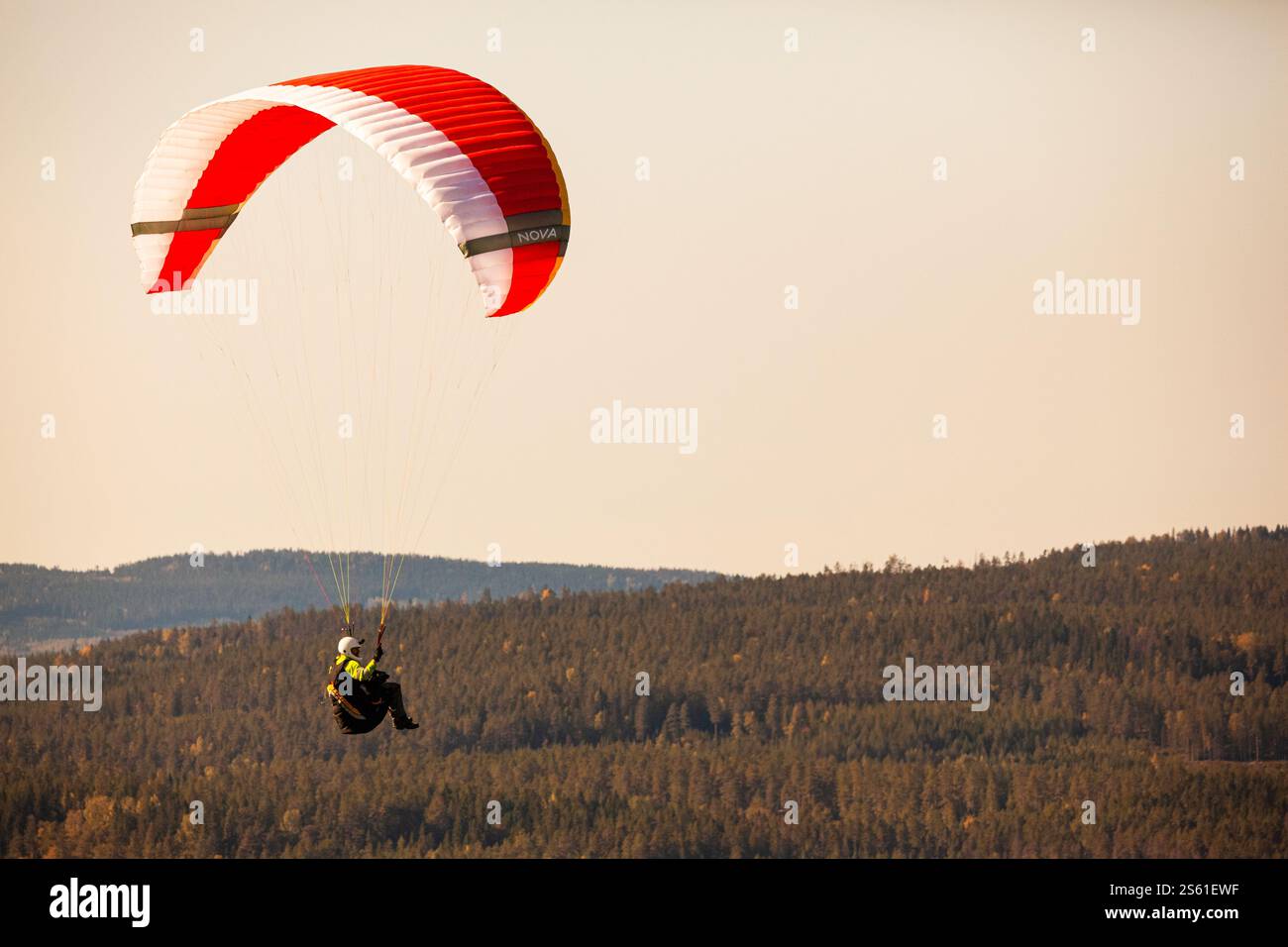 Gleitschirmflieger schweben an einem sonnigen Nachmittag über einer Herbstlandschaft Stockfoto