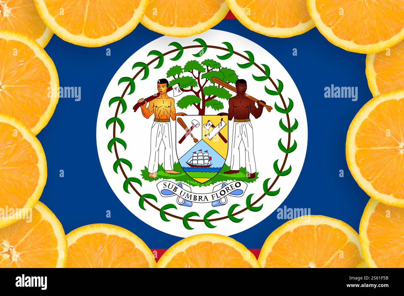 Belize-Flagge im Rahmen von Orangen-Zitrusfrüchtescheiben. Konzept des Anbaus sowie der Einfuhr und Ausfuhr von Zitrusfrüchten. Belize-Flagge in frischen Zitrusfrüchten Stockfoto