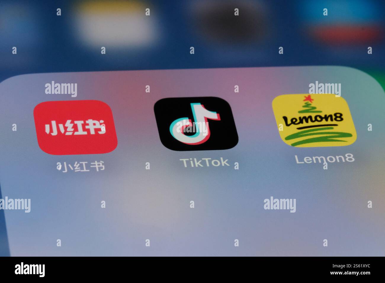 Xiaohongshu (RedNote), TikTok und Lemon8 App Symbole Stockfoto