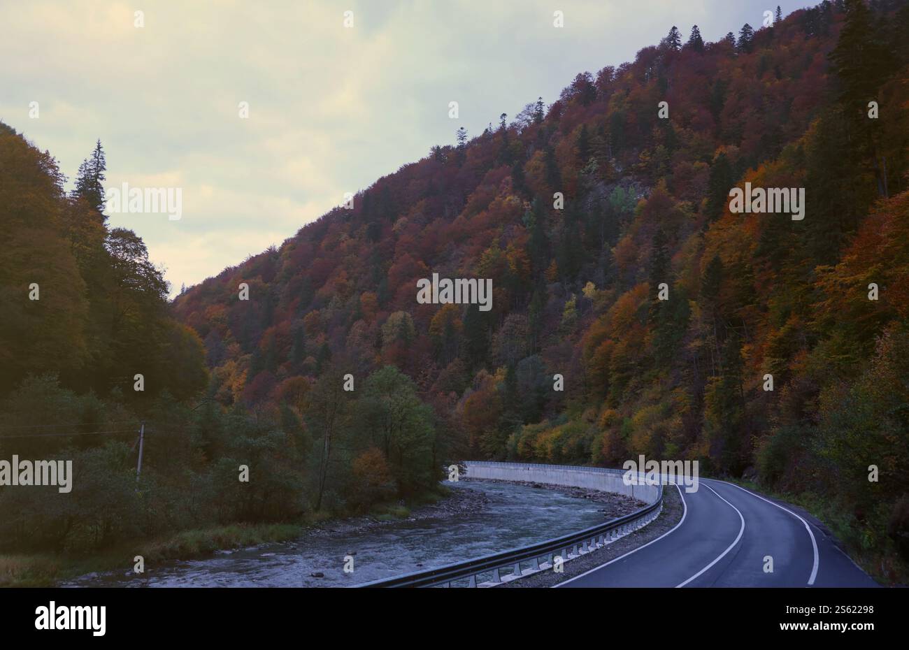 Straße im Herbstwald bei Sonnenuntergang in Karpaten, Ukraine. Wunderschöne Bergstraße mit orangefarbenem Tress und hohen Felsen. Querformat mit leer Stockfoto