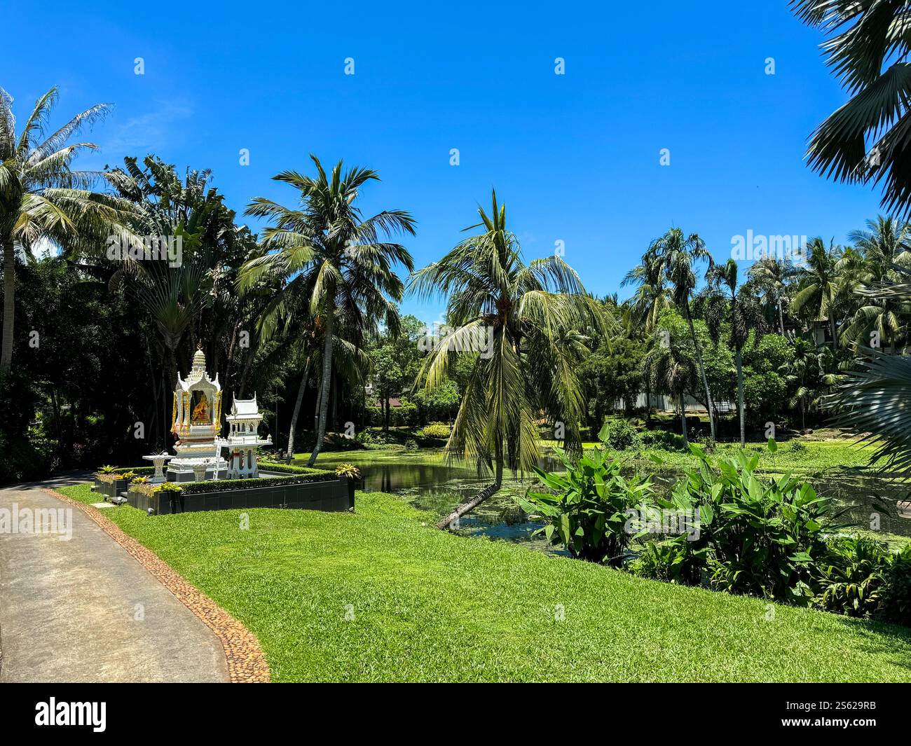 Schrein in Thailand am Rande eines Teichs, umgeben von Pflanzen und Bäumen mit blauem Himmel - Smartphone-aufgenommenes Stockfoto