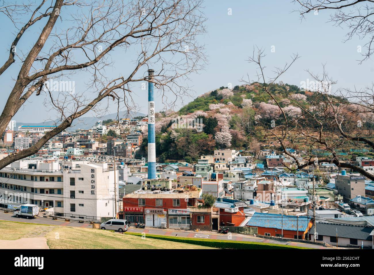 Busan, Korea - 6. April 2022 : Blick auf die Stadt Dongnae-gu und die Berge von Bokcheon-dong alten Gräbern im Frühling Stockfoto