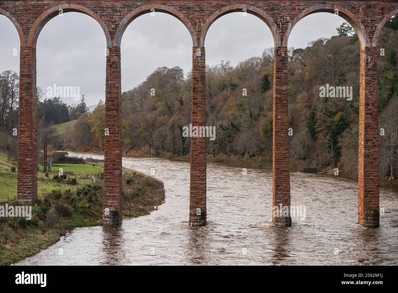 Leaderfoot Viaduct, Melrose, Scottish Borders. Tweed im Winter. Stockfoto