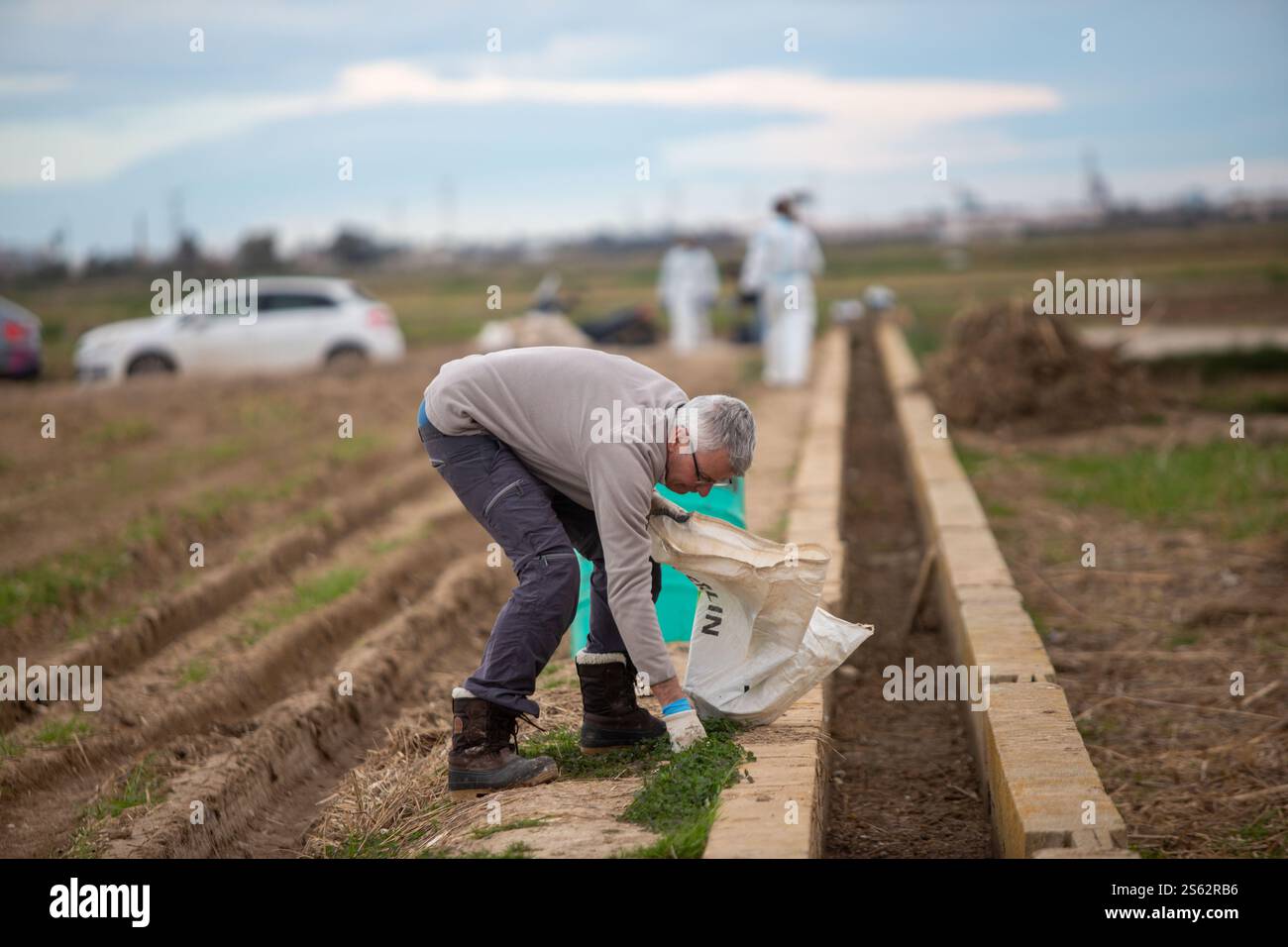 Freiwillige reinigen Felder von Müll, Pellets, Gebäuden und chemischen Produkten nach den Überschwemmungen vom 29. Oktober. Stockfoto
