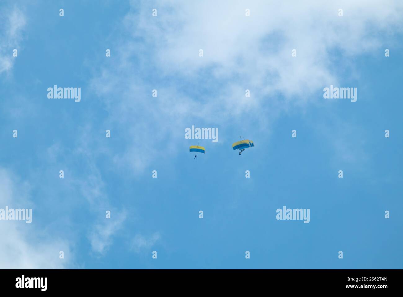 Fallschirmspringer Gruppenformation, die Kunstflug mit offenen gelb-blauen ukrainischen Fallschirmen in blauem Himmel durchführen Stockfoto