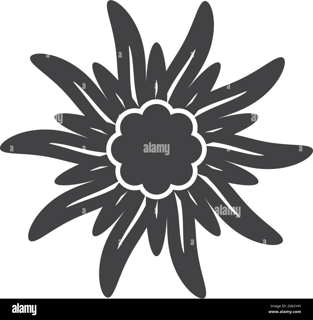 Vektor-Design mit Edelweiss Logo Stock Vektor