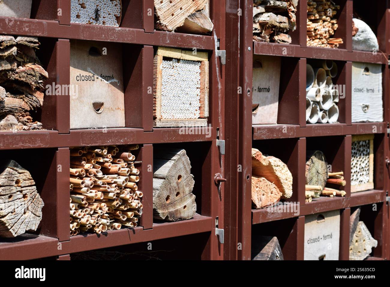 Kreatives Insektenhotel in einem alten Metallschrank Stockfoto