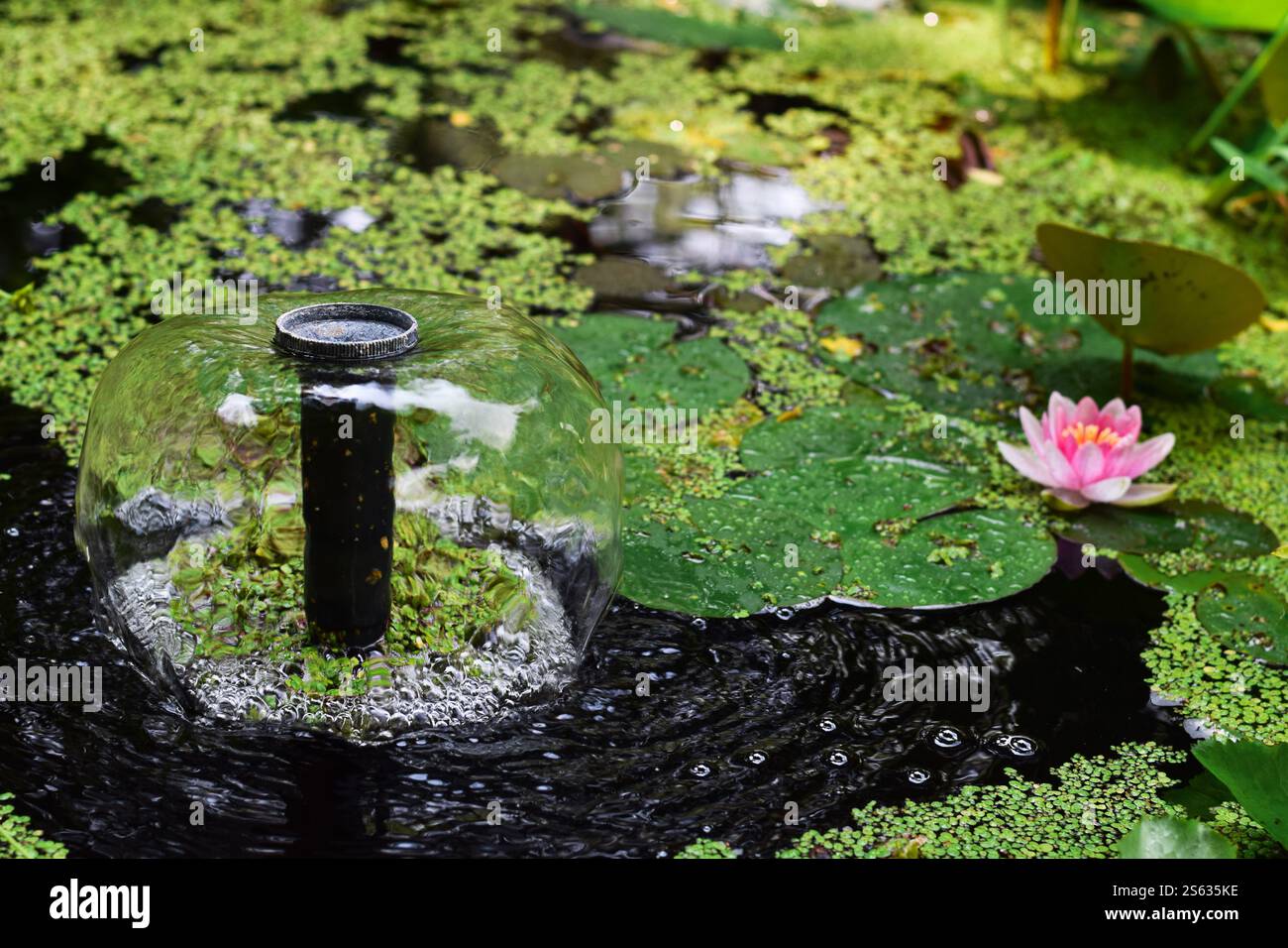 Kleiner Wasserbrunnen in einem Teich mit Seerosen und Seerosen Stockfoto
