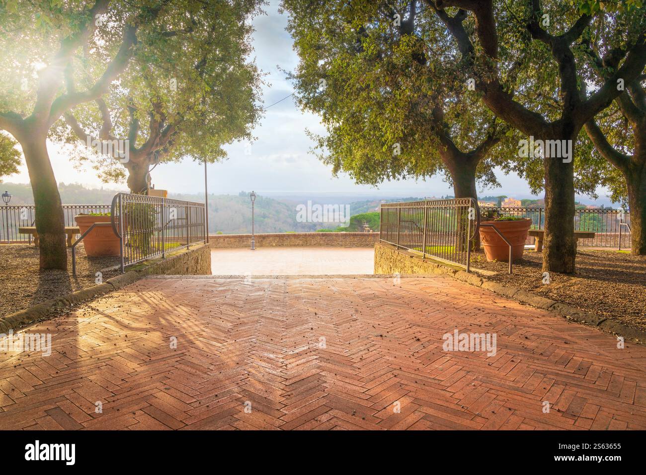 Bäume bei Sonnenuntergang auf der Panoramaterrasse des Dorfes Montescudaio auf dem Kirchplatz. Provinz Pisa, Region Toskana, Italien Stockfoto