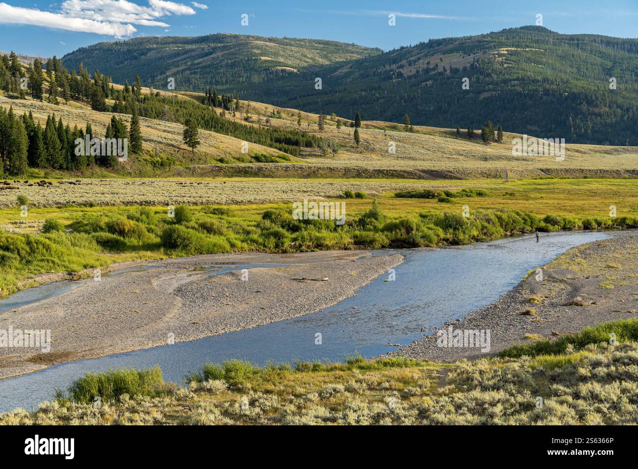 Panoramablick auf das Lamar Valley im Nordosten des Yellowstone National Park Stockfoto