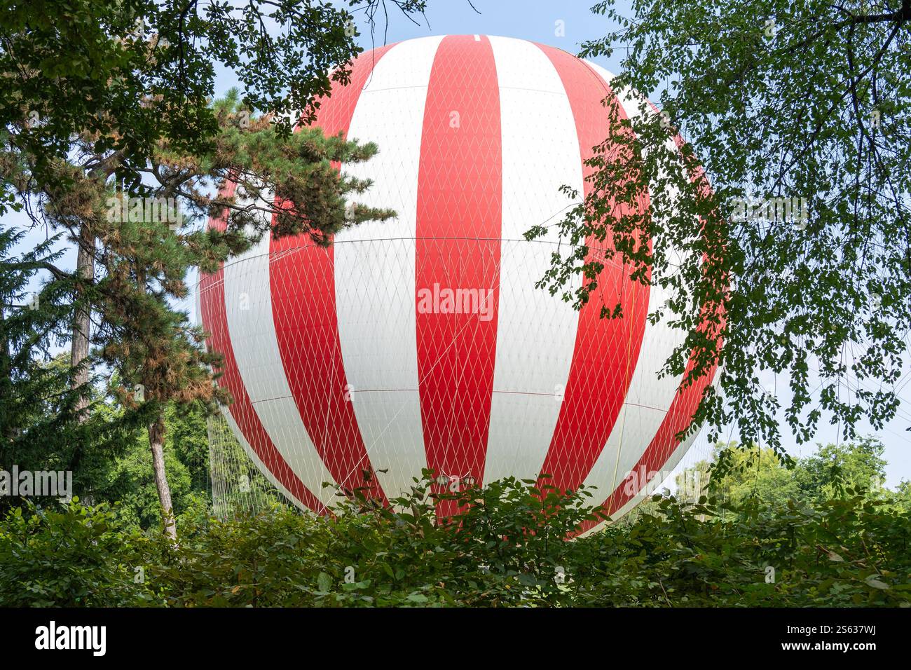 Rot-weißer Heißluftballon auf dem Boden hinter den Bäumen Stockfoto