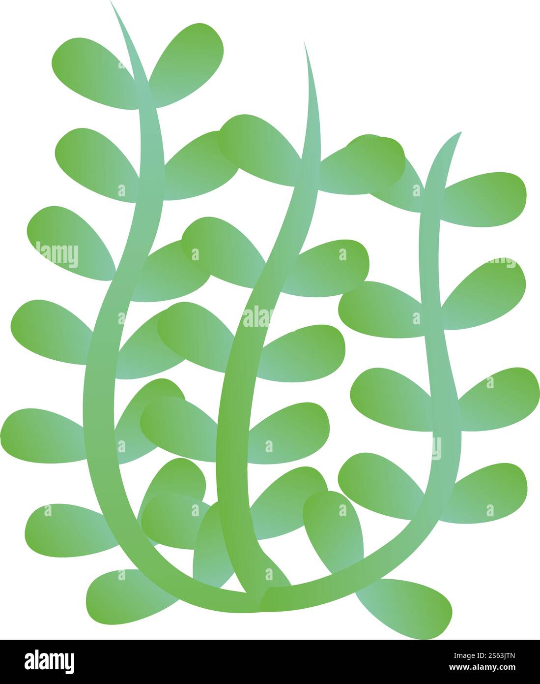 Algensymbol. Cartoon des Algenvektorsymbols für Webdesign isoliert auf weißem Hintergrund. Algensymbol, Cartoon-Stil Stock Vektor