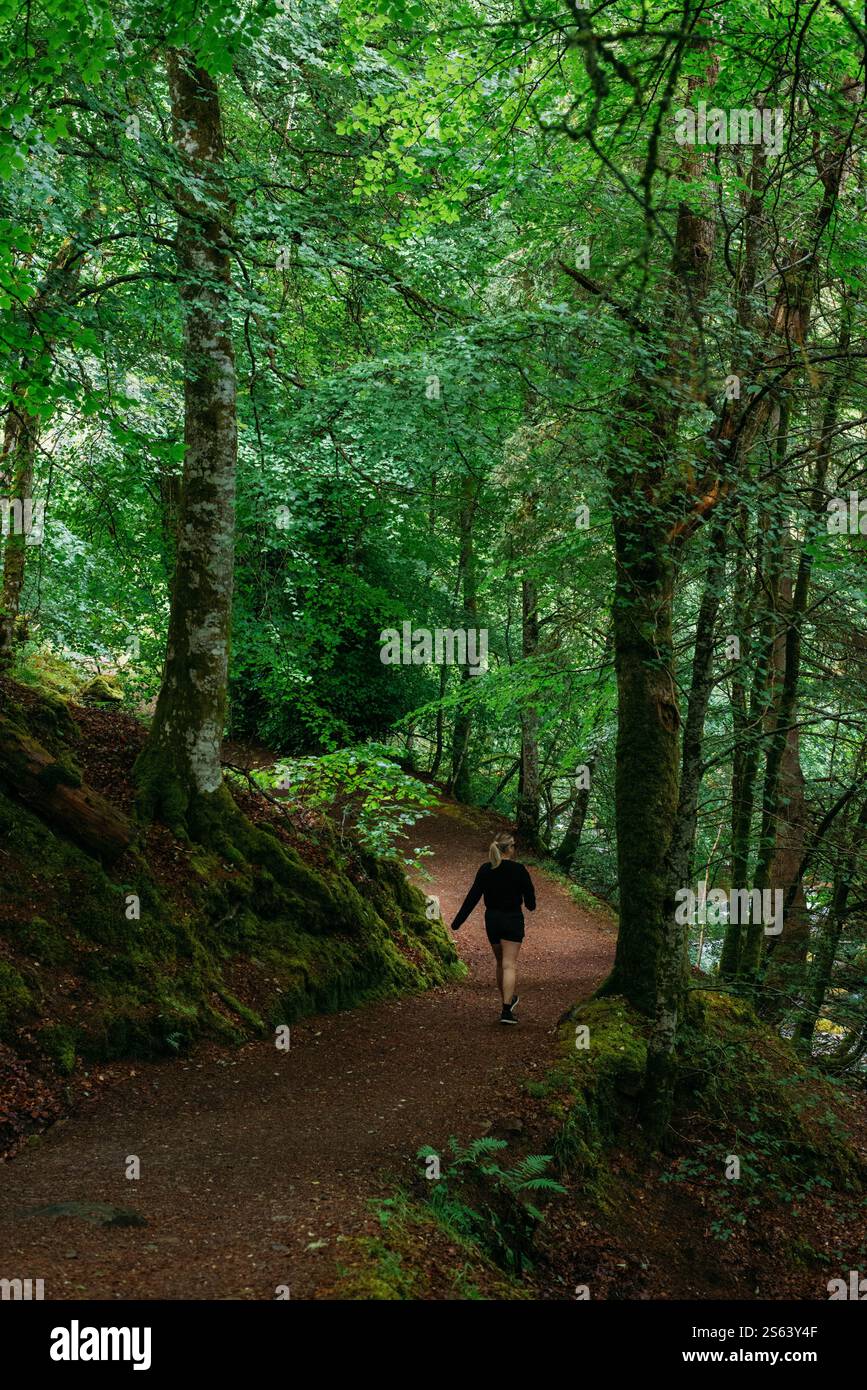 Frau, die durch einen grünen Wald in den Birks of Aberfeldy, Schottland, läuft. Stockfoto