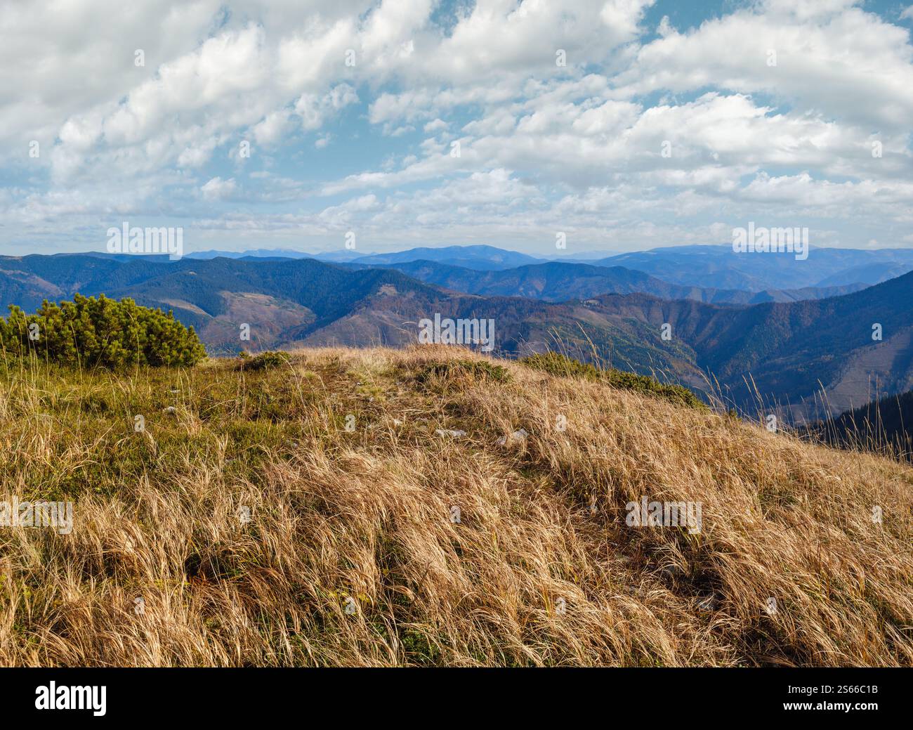 Herbstmorgen Karpaten ruhige malerische Szene, Ukraine. Stockfoto
