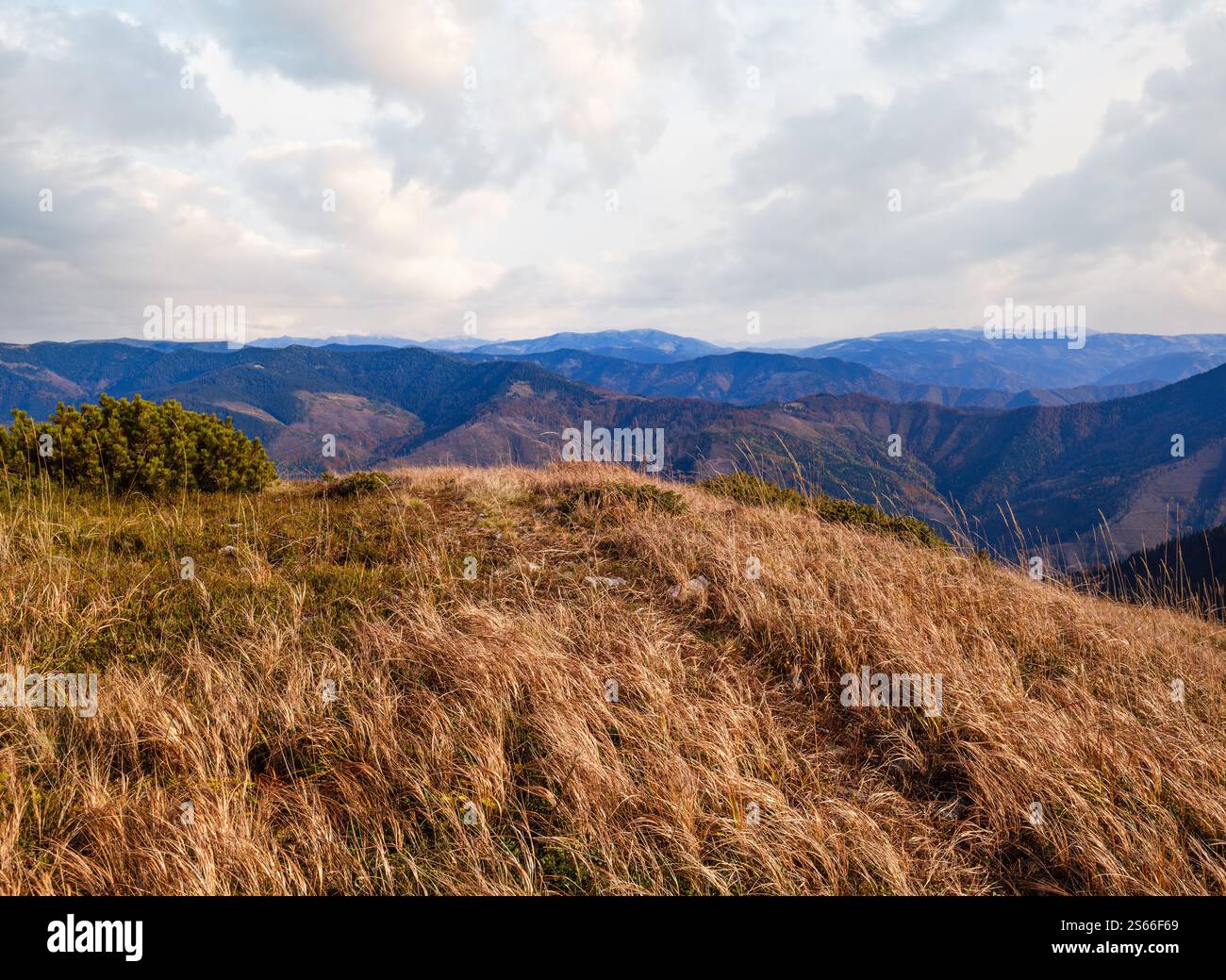 Herbstmorgen Karpaten ruhige malerische Szene, Ukraine. Stockfoto