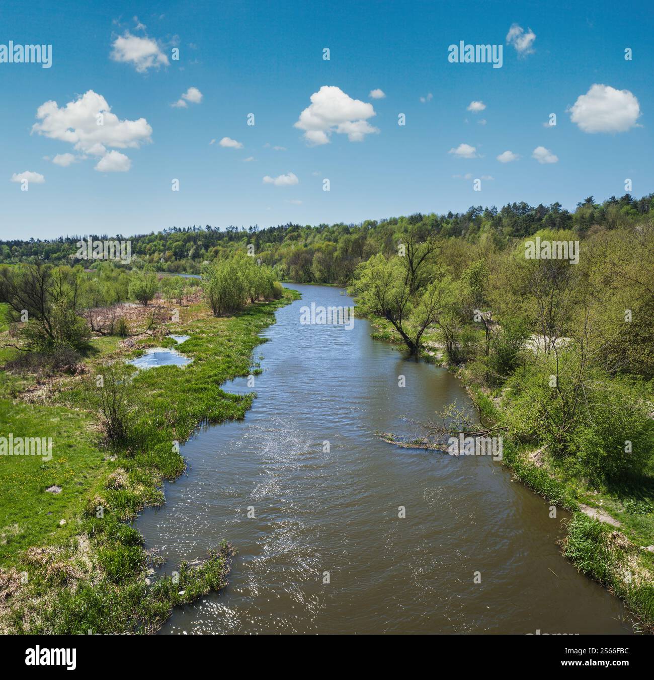 Atemberaubende Aussicht auf den Zbruch Fluss, Ternopil und Khmelnyzky Regionen Grenze, Ukraine. Stockfoto