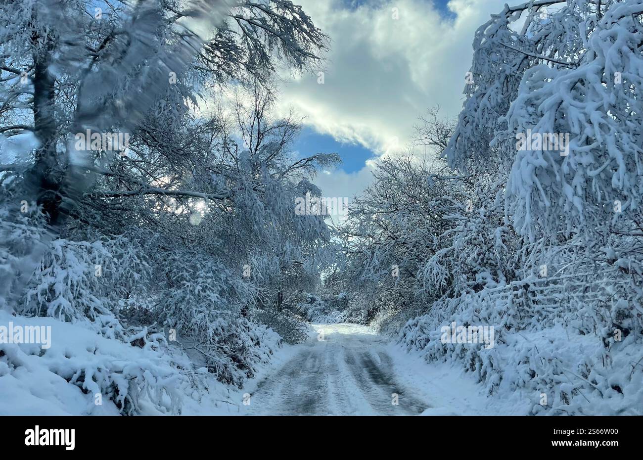 White Winter Wonderland im schneebedeckten Dartmoor National Park - Smartphone-aufgenommenes Stockfoto