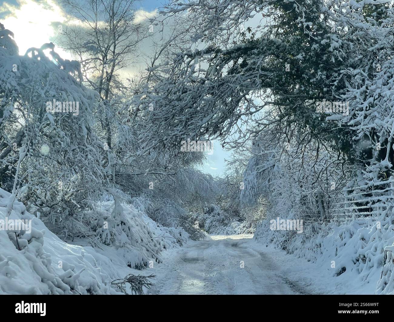 White Winter Wonderland im schneebedeckten Dartmoor National Park - Smartphone-aufgenommenes Stockfoto