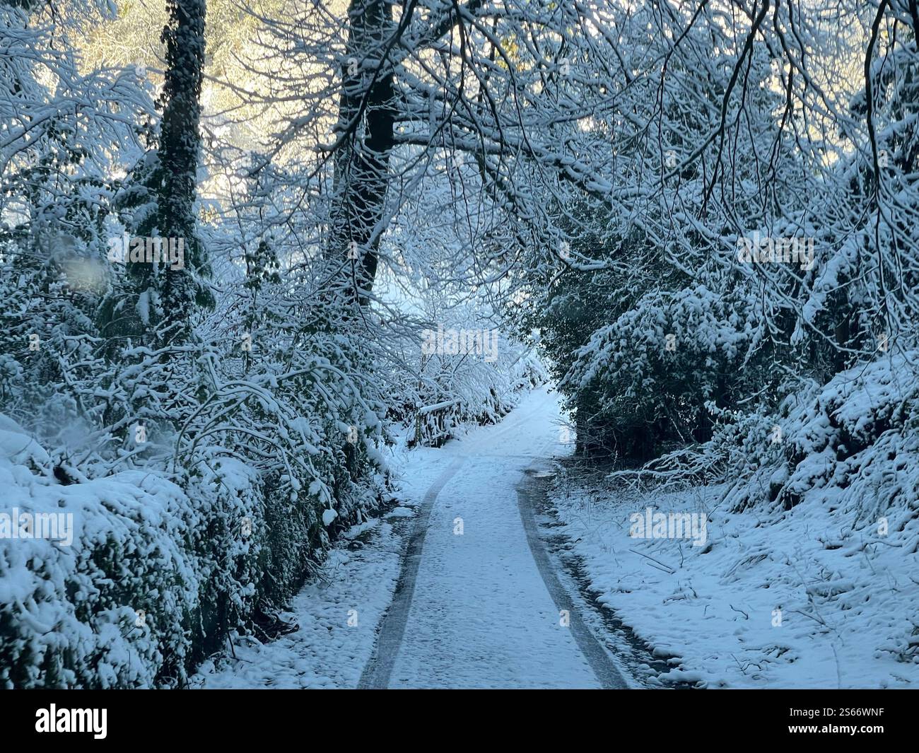 White Winter Wonderland im schneebedeckten Dartmoor National Park - Smartphone-aufgenommenes Stockfoto
