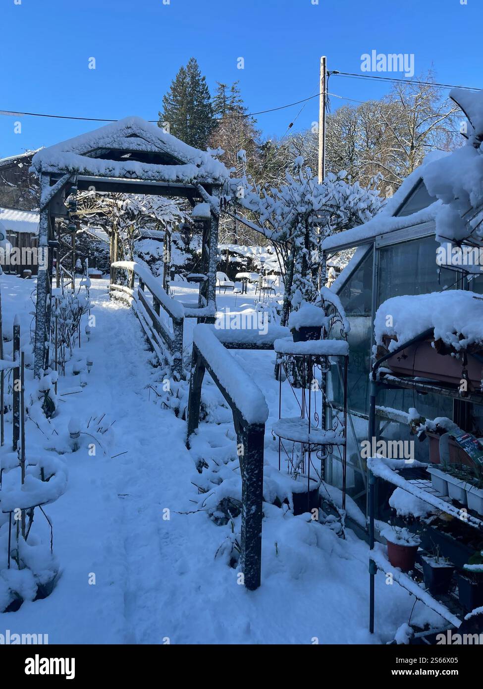 White Winter Wonderland im schneebedeckten Dartmoor National Park - Smartphone-aufgenommenes Stockfoto