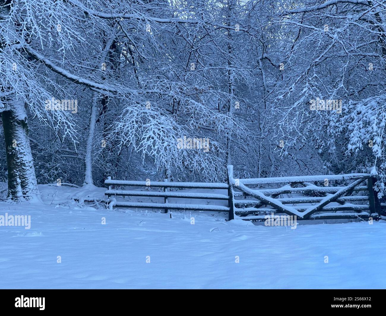 White Winter Wonderland im schneebedeckten Dartmoor National Park - Smartphone-aufgenommenes Stockfoto