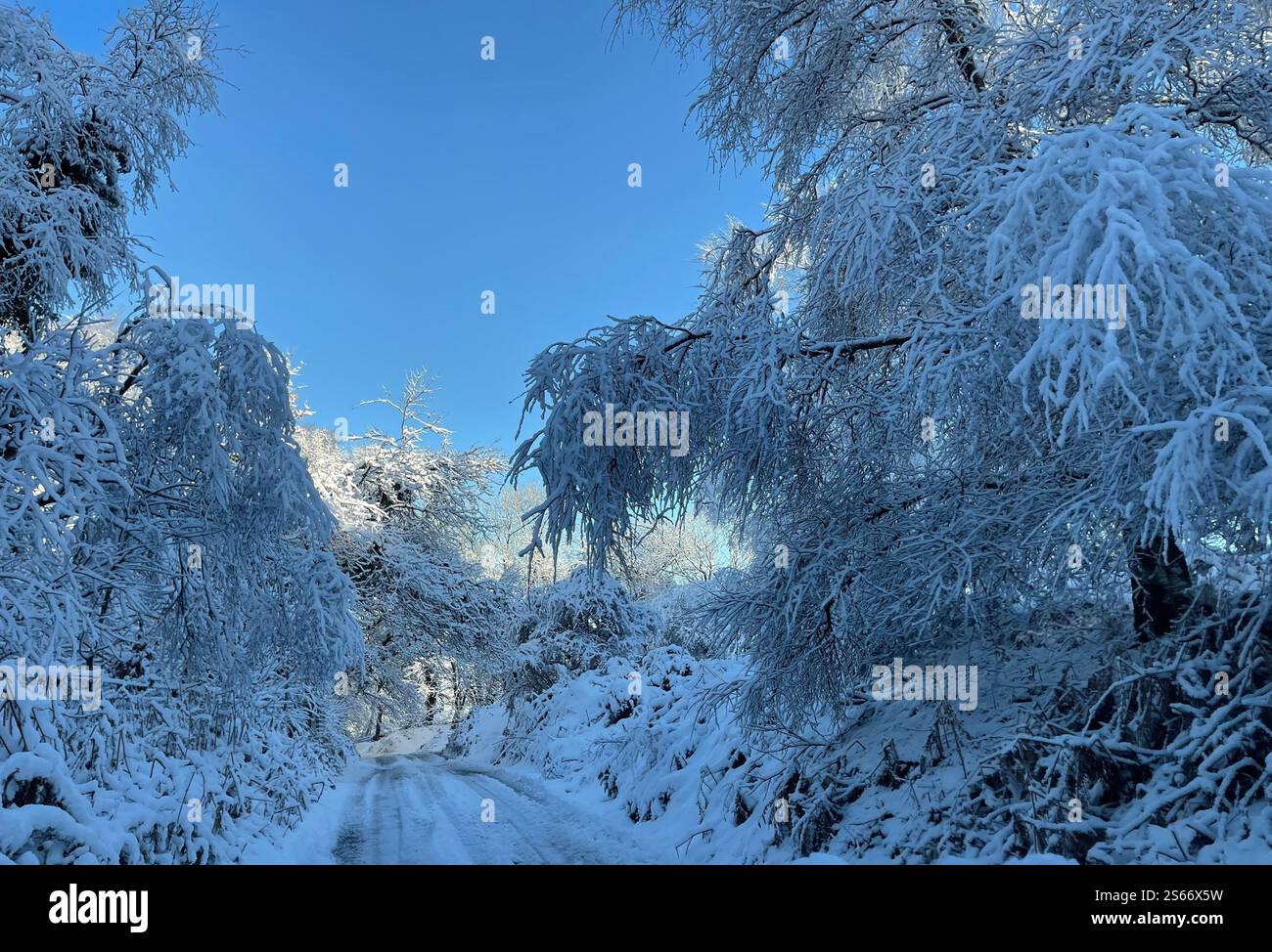 White Winter Wonderland im schneebedeckten Dartmoor National Park - Smartphone-aufgenommenes Stockfoto