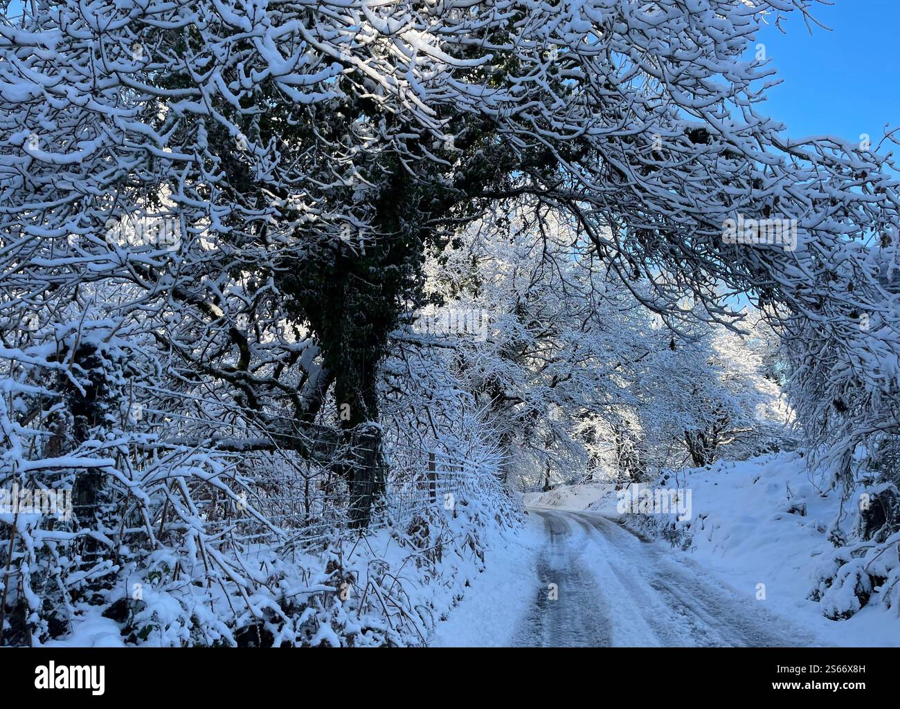 White Winter Wonderland im schneebedeckten Dartmoor National Park - Smartphone-aufgenommenes Stockfoto