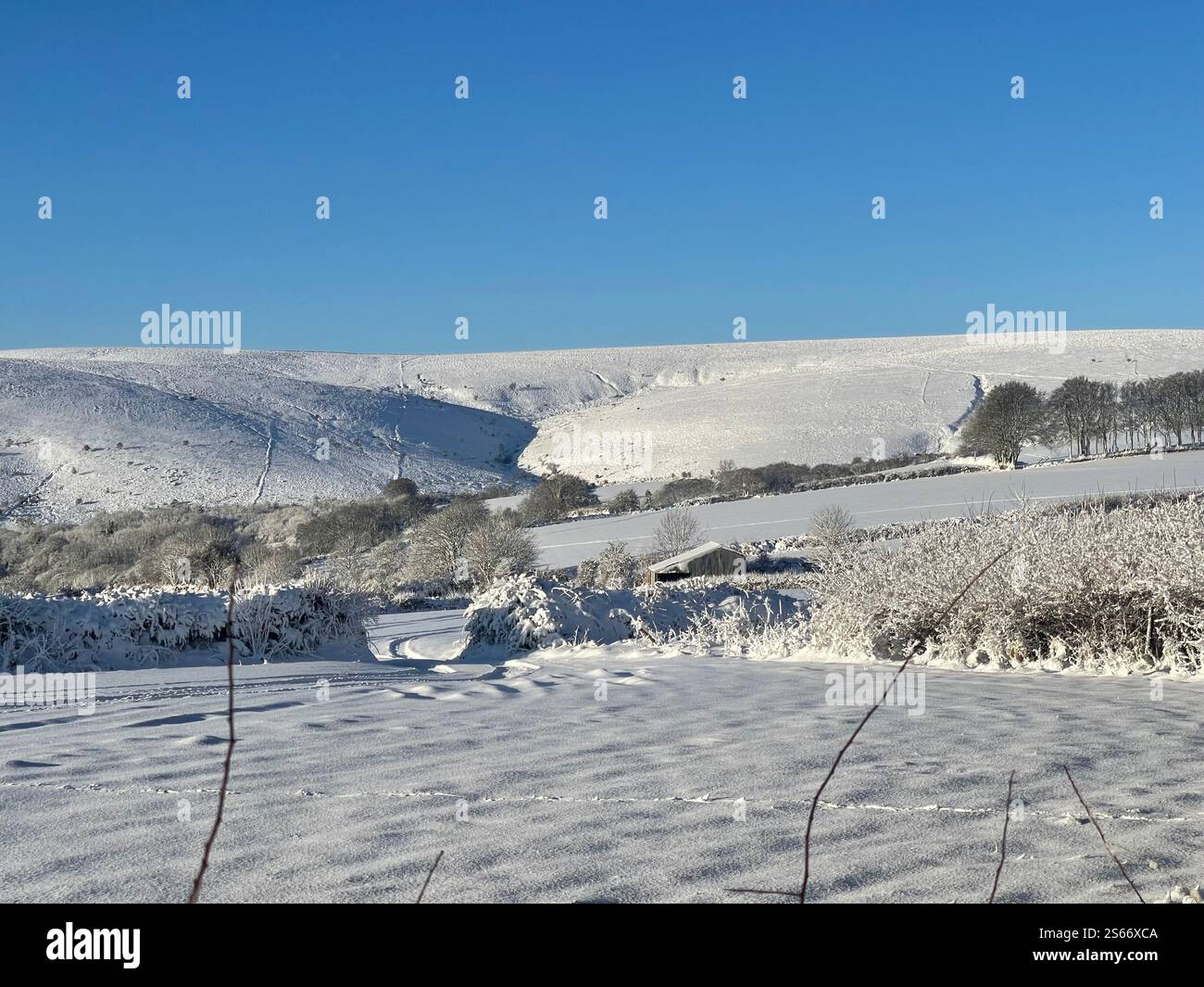 White Winter Wonderland im schneebedeckten Dartmoor National Park - Smartphone-aufgenommenes Stockfoto
