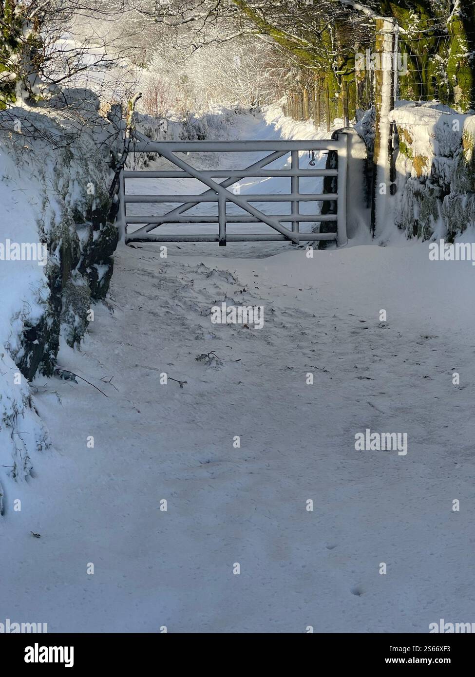 White Winter Wonderland im schneebedeckten Dartmoor National Park - Smartphone-aufgenommenes Stockfoto