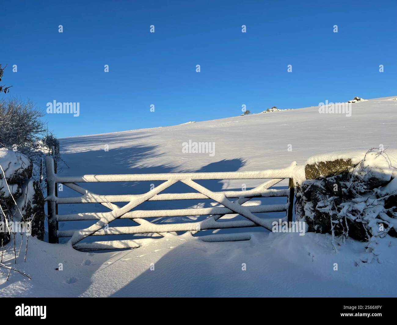 White Winter Wonderland im schneebedeckten Dartmoor National Park - Smartphone-aufgenommenes Stockfoto