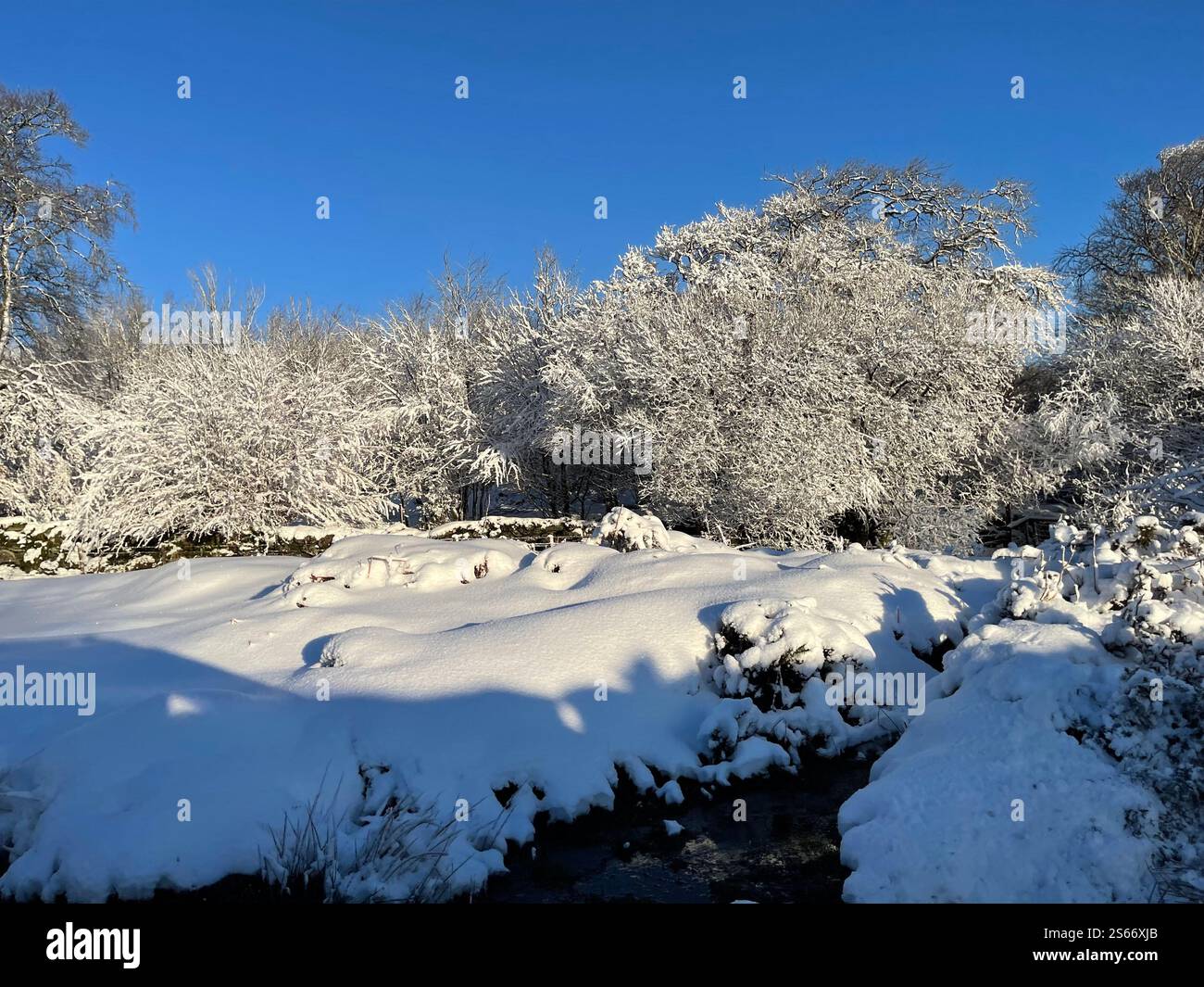 White Winter Wonderland im schneebedeckten Dartmoor National Park - Smartphone-aufgenommenes Stockfoto