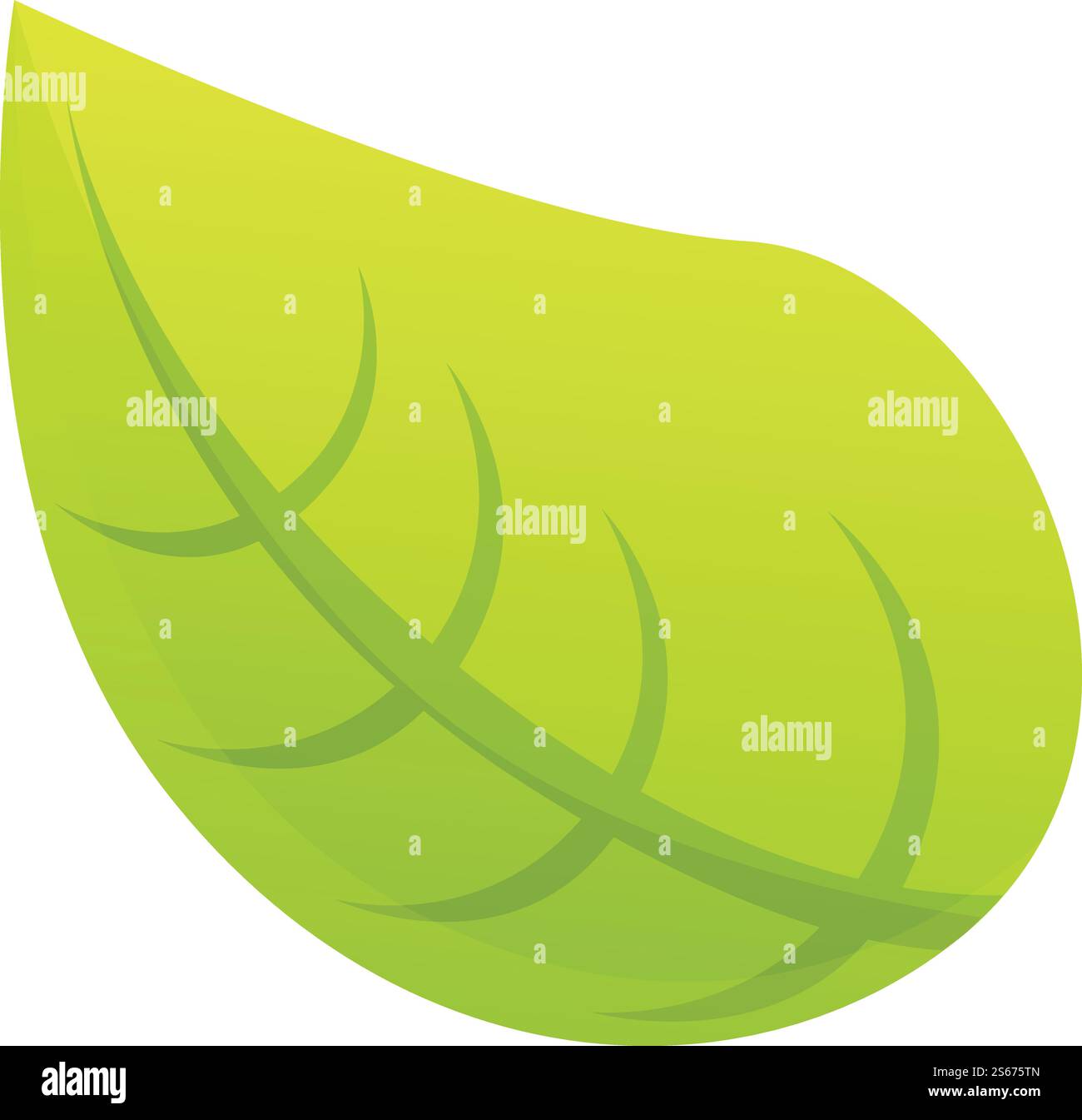 Grünes Blattsymbol. Cartoon des grünen Blattsymbols für Webdesign isoliert auf weißem Hintergrund. Grüne Blattfigur im Cartoon-Stil Stock Vektor