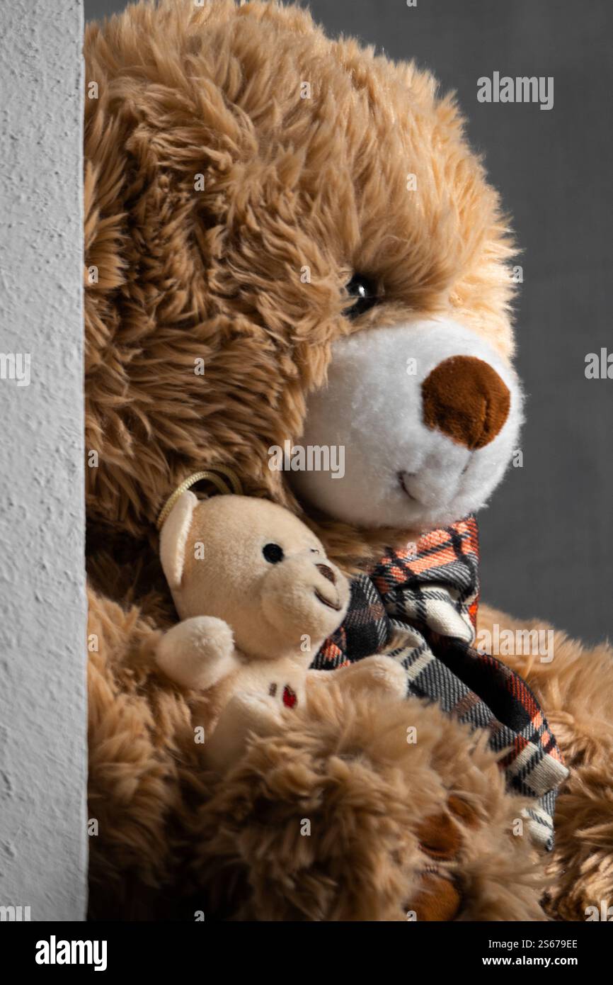 Nahaufnahme von zwei Teddybären, Freundschaftskonzept, Erziehung Stockfoto