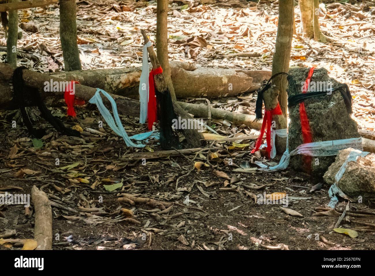 Bänder auf einer heiligen Hütte, die als Gebetsplatz im Kaya Kinodo Sacred Forest in Diani Beach, Kwale County in Kenia genutzt wurde Stockfoto